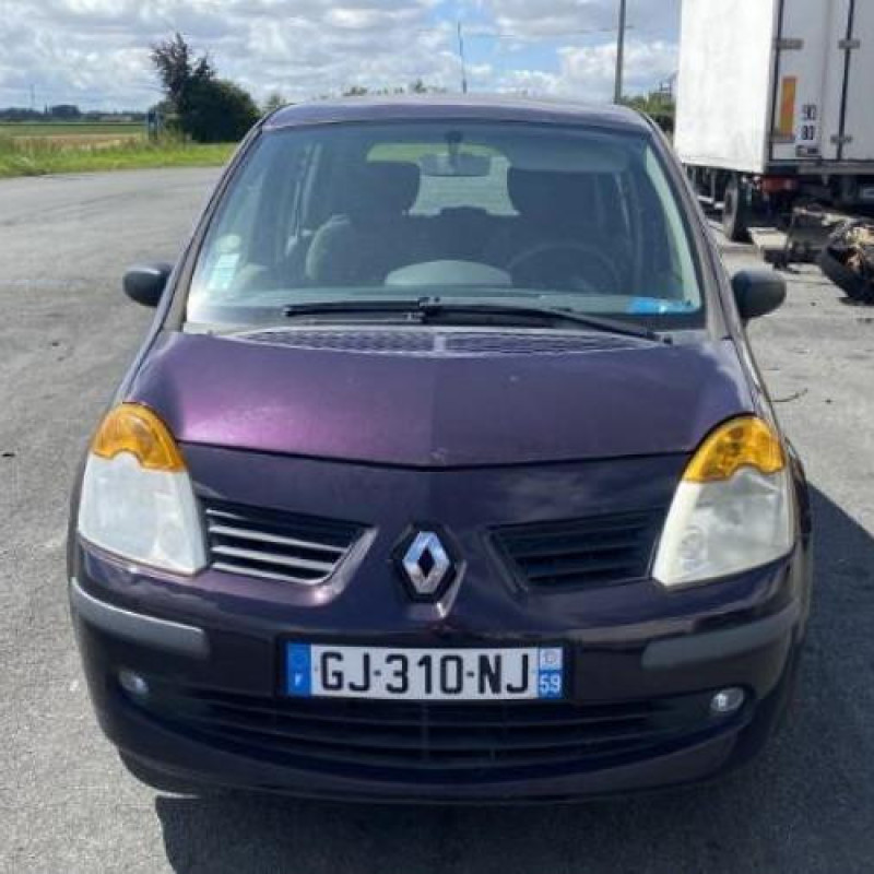 Porte arriere droit RENAULT MODUS Photo n°12