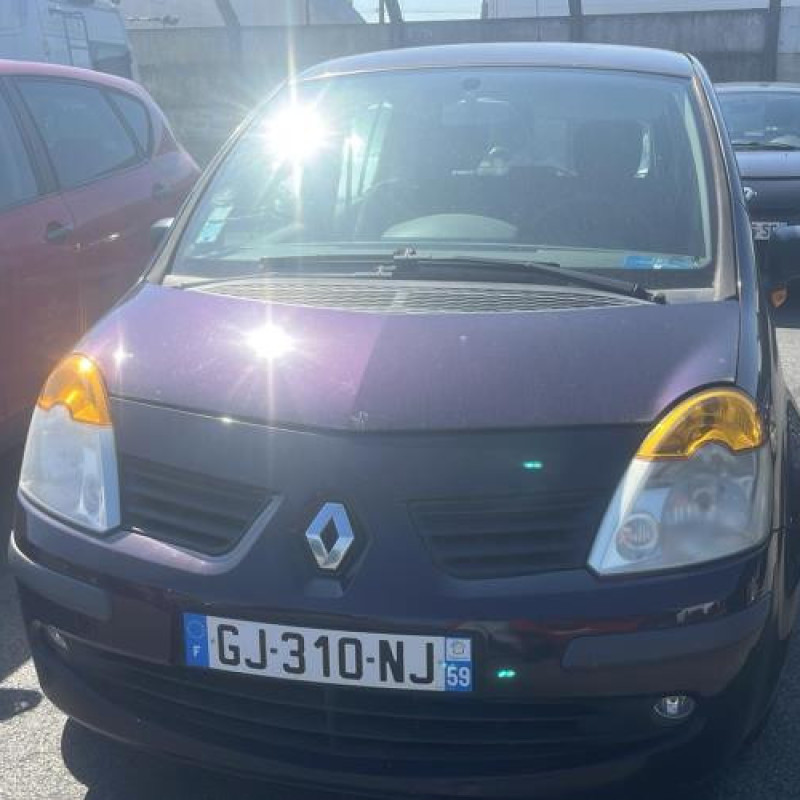 Porte arriere droit RENAULT MODUS Photo n°19