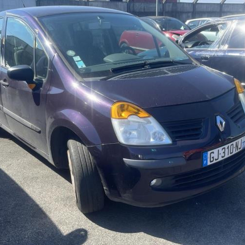 Porte arriere droit RENAULT MODUS Photo n°20