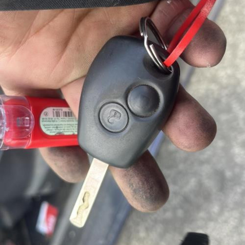 Porte arriere droit RENAULT MODUS Photo n°14