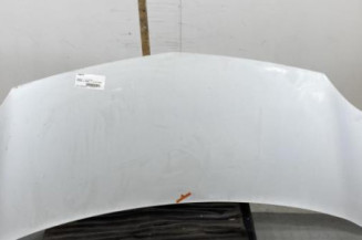 Capot RENAULT KANGOO 2 Photo n°1