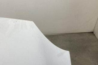 Capot RENAULT KANGOO 2