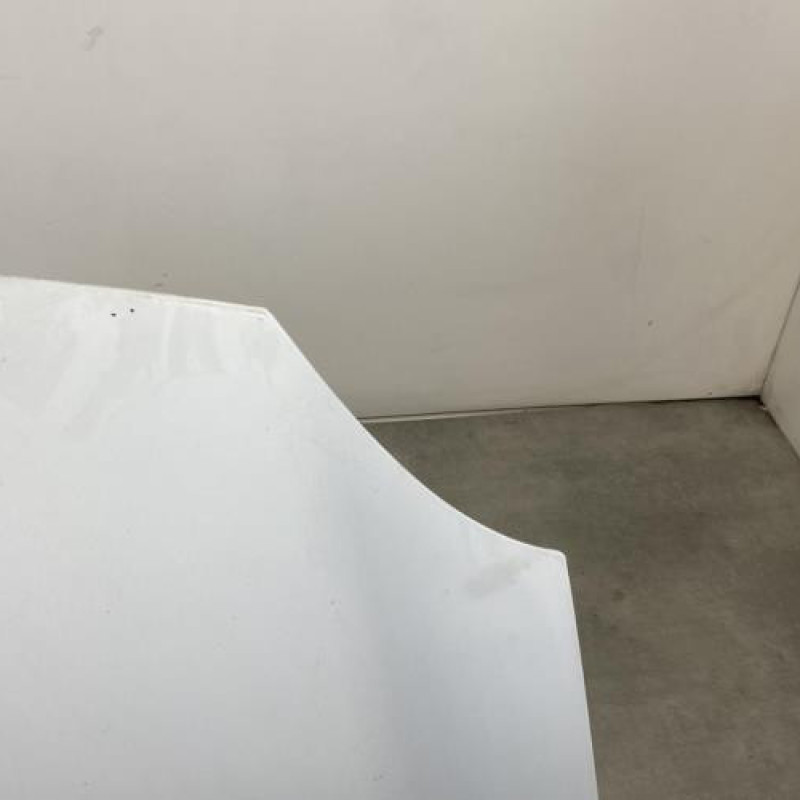 Capot RENAULT KANGOO 2 Photo n°4