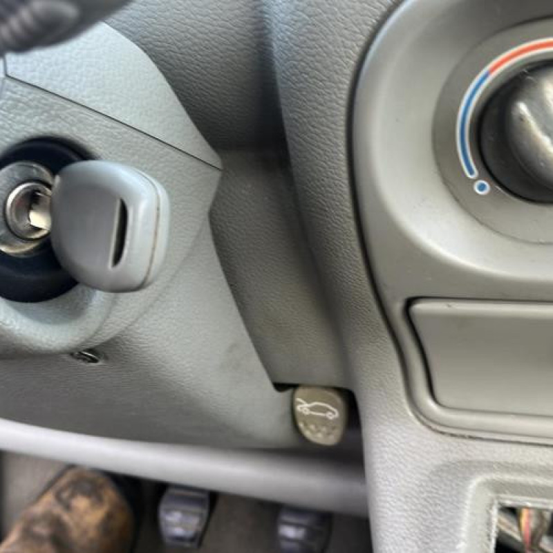 Bouton de warning RENAULT TWINGO 1 Photo n°6