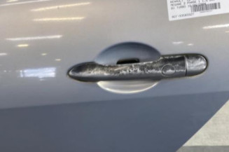 Porte arriere gauche RENAULT MEGANE 2