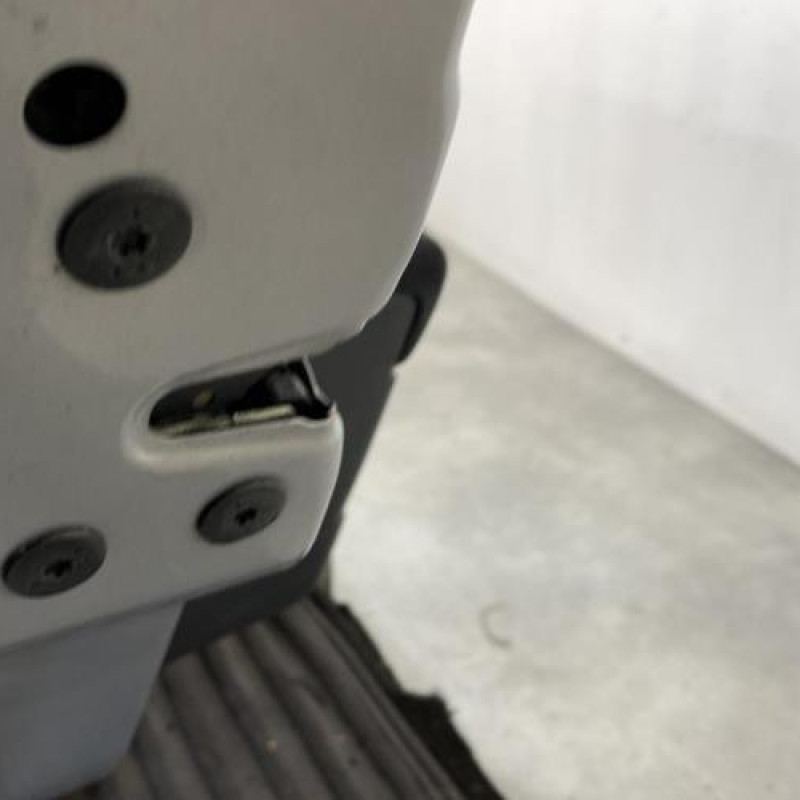 Porte arriere gauche RENAULT MEGANE 2 Photo n°3