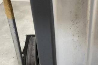 Porte arriere gauche RENAULT MEGANE 2
