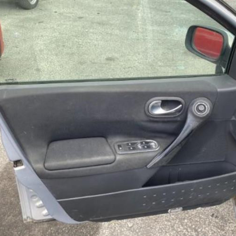 Porte arriere gauche RENAULT MEGANE 2 Photo n°17