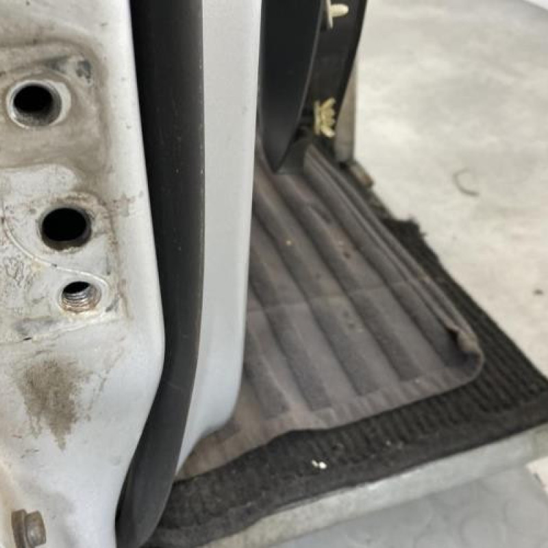 Porte avant droit VOLKSWAGEN GOLF PLUS Photo n°5