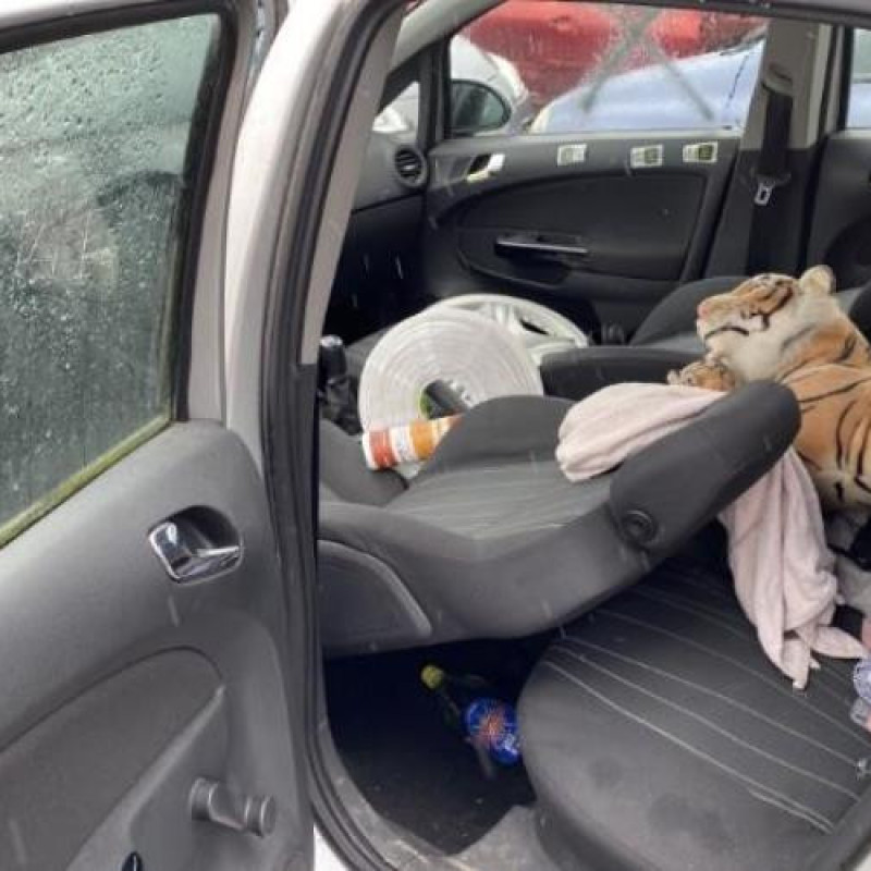 Feu arriere principal droit (feux) OPEL CORSA D Photo n°15