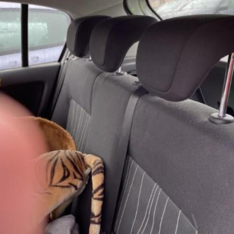 Feu arriere principal droit (feux) OPEL CORSA D Photo n°17