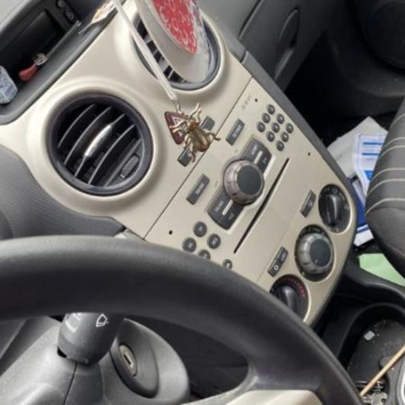 Feu arriere principal droit (feux) OPEL CORSA D Photo n°18