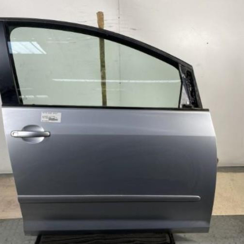 Porte avant droit VOLKSWAGEN GOLF PLUS Photo n°1