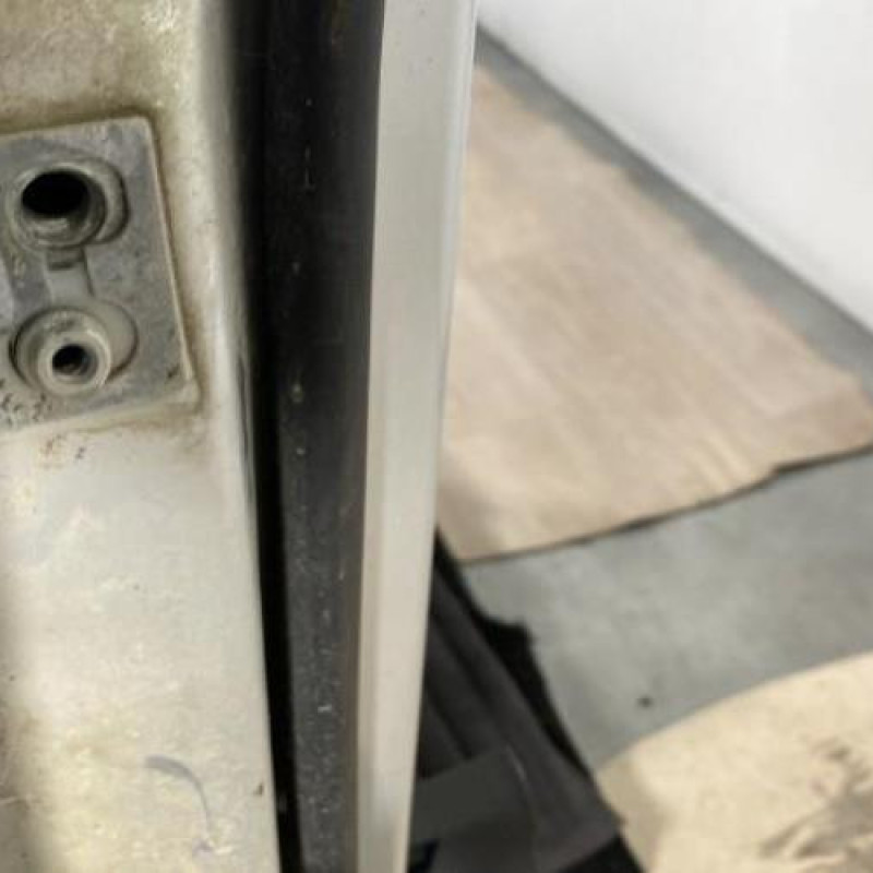 Porte avant droit VOLKSWAGEN GOLF PLUS Photo n°4