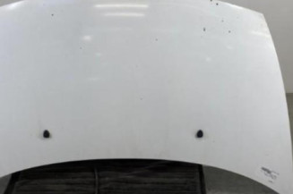 Capot CITROEN C3 1 Photo n°1