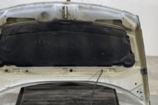 Capot CITROEN C3 1