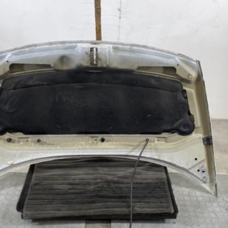 Capot CITROEN C3 1 Photo n°9