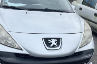 Debitmetre PEUGEOT 207