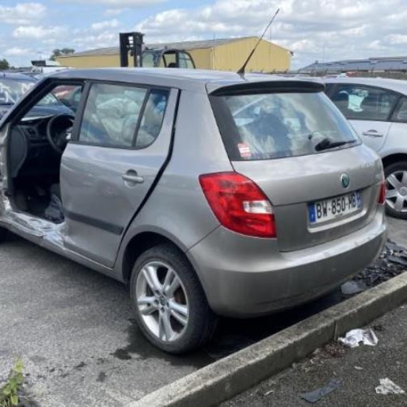 Porte avant droit SKODA FABIA 2 Photo n°16