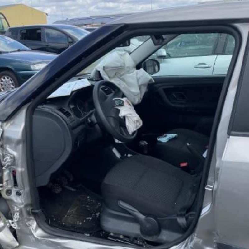 Porte avant droit SKODA FABIA 2 Photo n°19