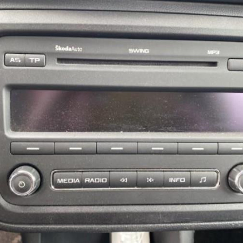 Porte avant droit SKODA FABIA 2 Photo n°20