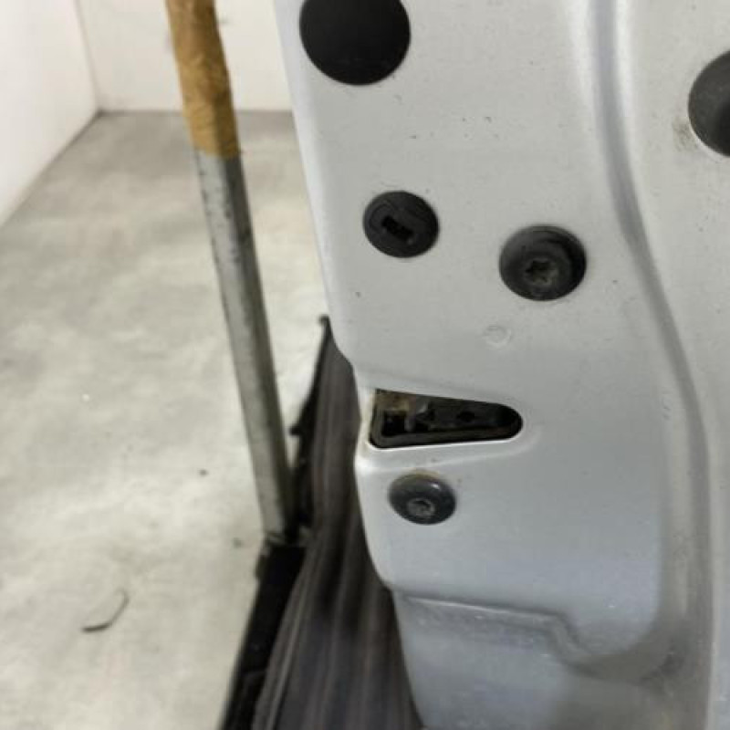 Porte avant droit SKODA FABIA 2 Photo n°3