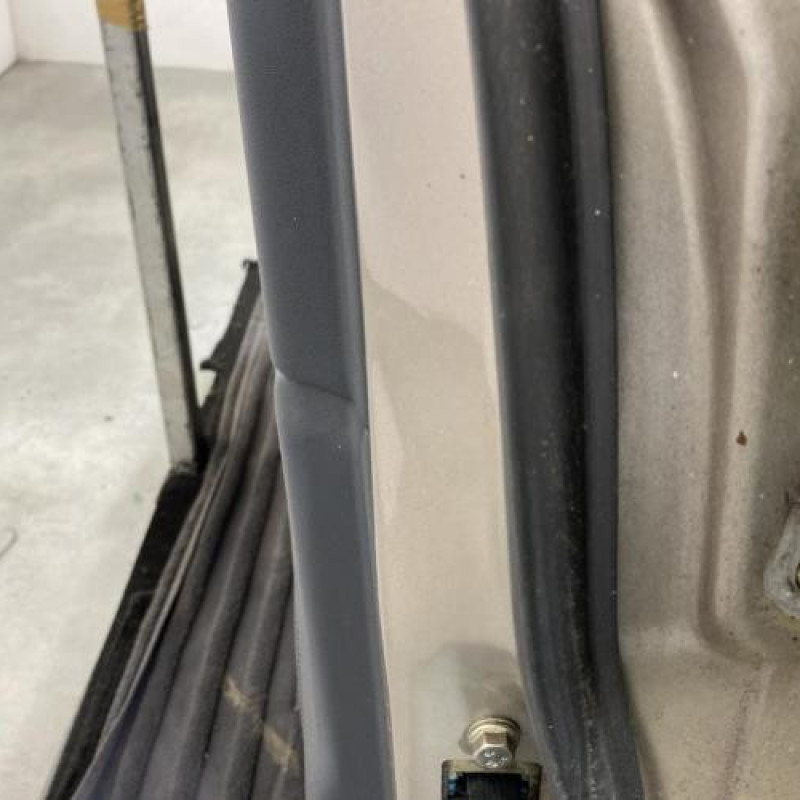 Porte avant gauche NISSAN ALMERA 2 Photo n°4