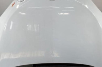 Capot RENAULT MEGANE 3 Photo n°1