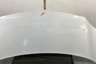 Capot RENAULT KANGOO 2 Photo n°1