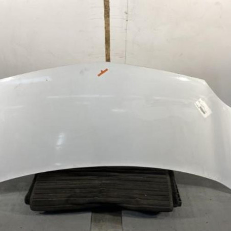 Capot RENAULT KANGOO 2 Photo n°1