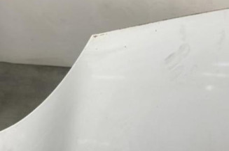 Capot RENAULT KANGOO 2