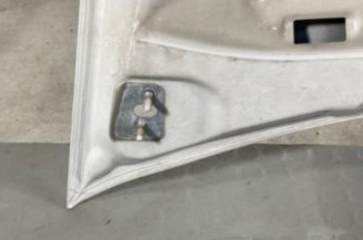 Capot RENAULT KANGOO 2
