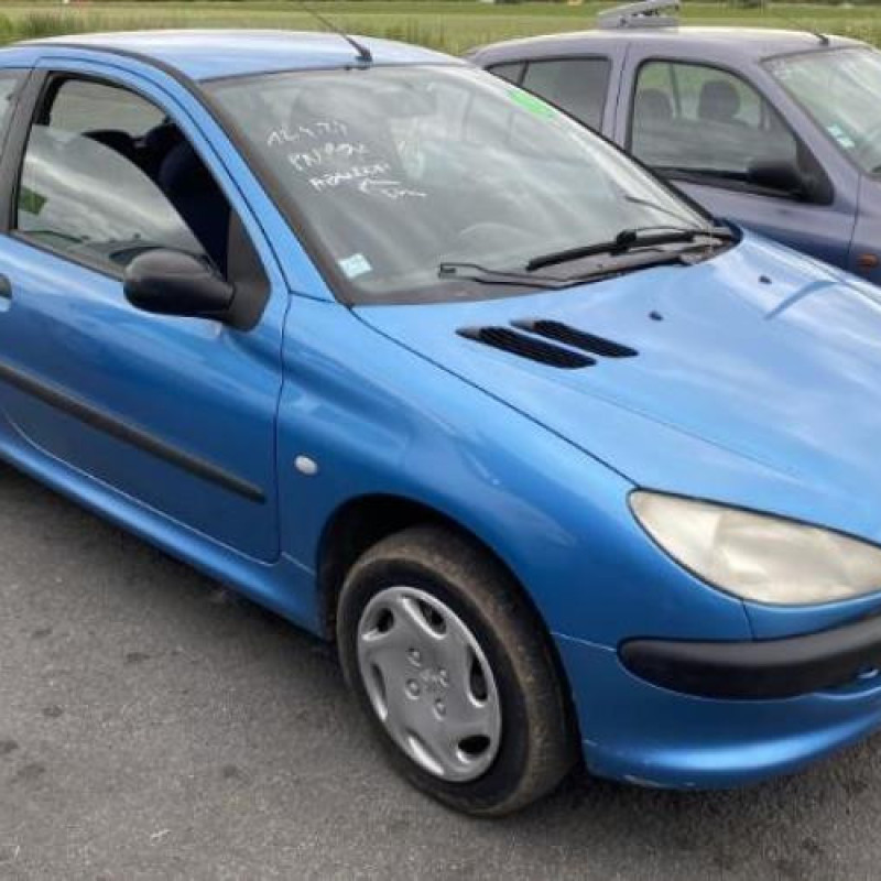 Porte avant droit PEUGEOT 206 Photo n°10