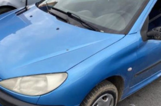 Porte avant droit PEUGEOT 206