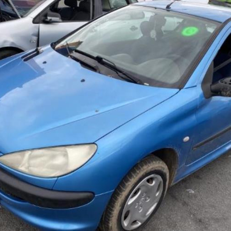 Porte avant droit PEUGEOT 206 Photo n°11