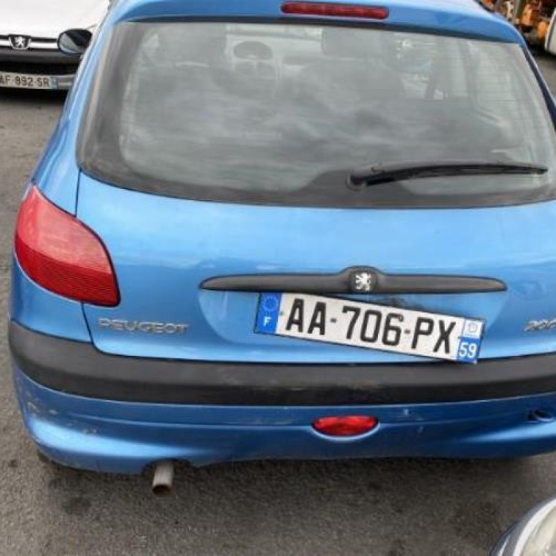 Porte avant droit PEUGEOT 206 Photo n°14