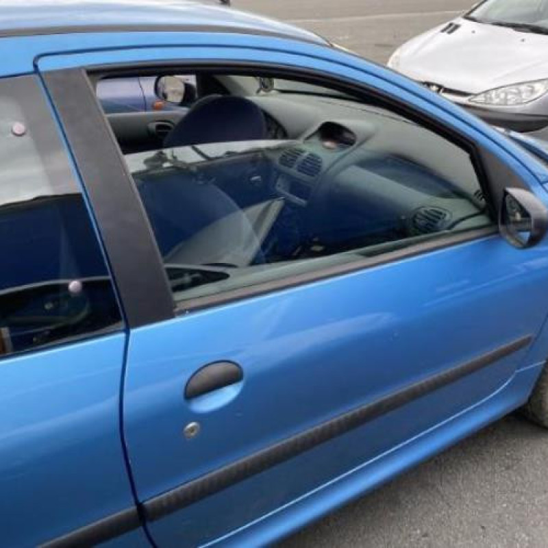 Porte avant droit PEUGEOT 206 Photo n°16