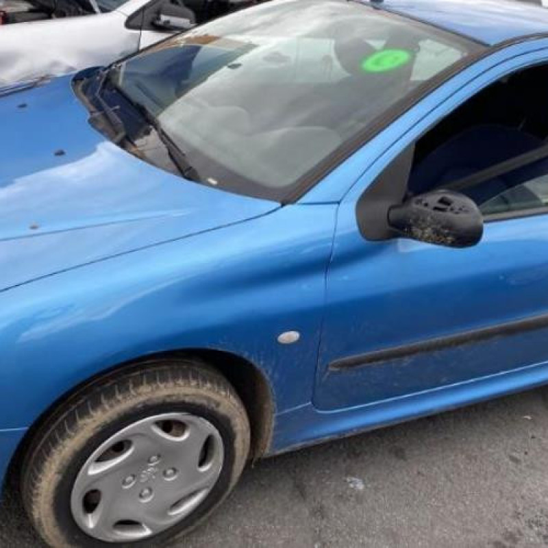 Porte avant droit PEUGEOT 206 Photo n°18