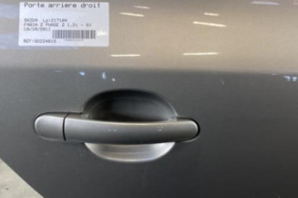 Porte arriere droit SKODA FABIA 2