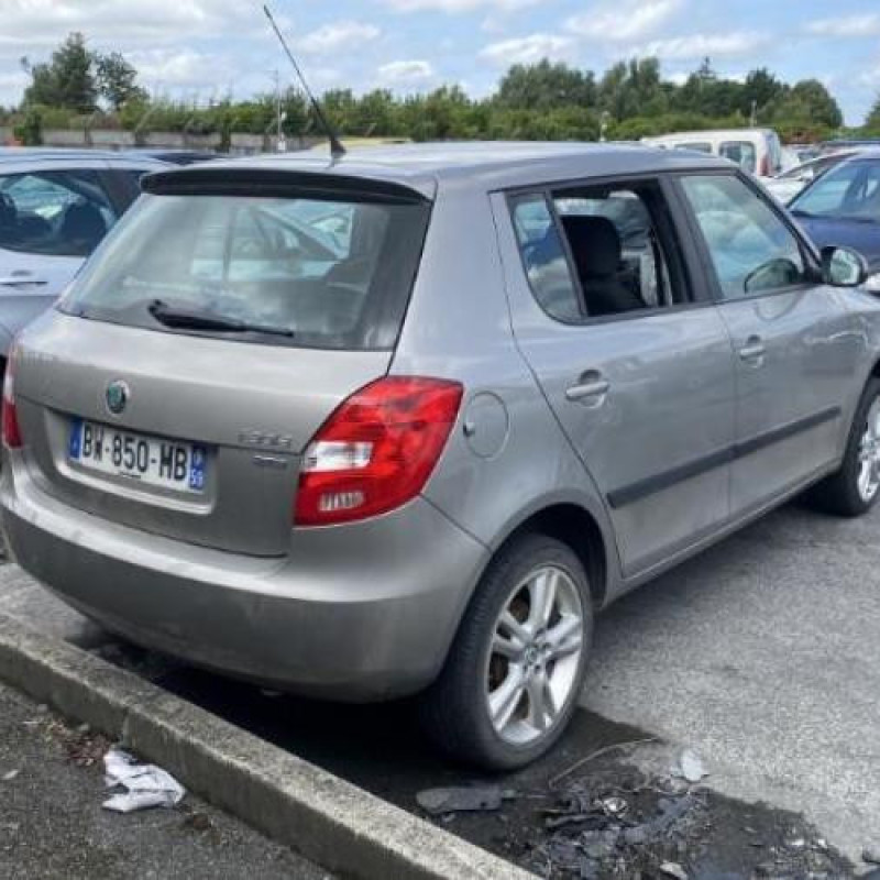 Porte arriere droit SKODA FABIA 2 Photo n°9