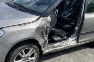 Porte arriere droit SKODA FABIA 2