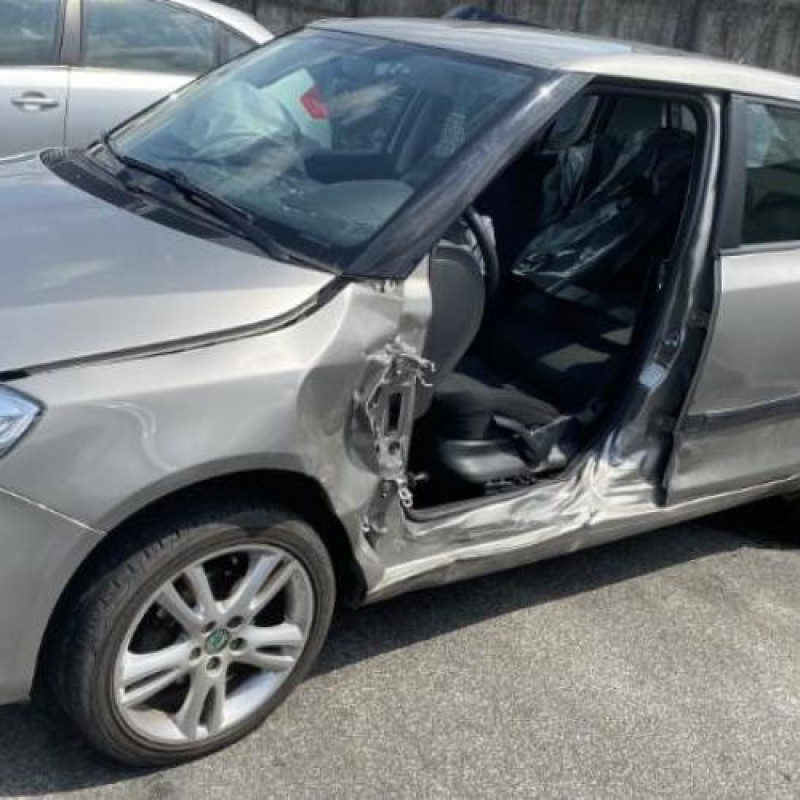 Porte arriere droit SKODA FABIA 2 Photo n°17