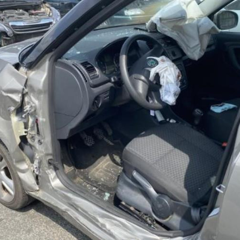 Porte arriere droit SKODA FABIA 2 Photo n°19
