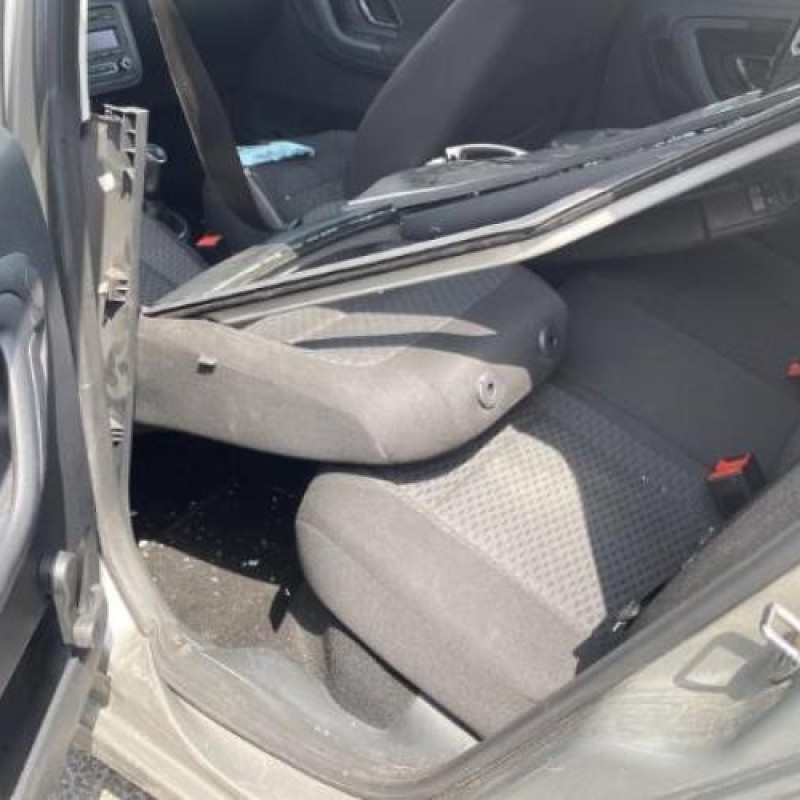 Porte arriere droit SKODA FABIA 2 Photo n°20