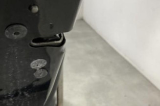 Porte arriere gauche PEUGEOT 5008 1