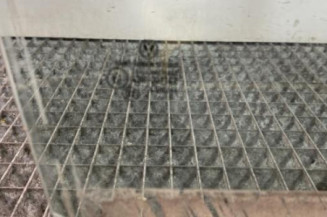 Vitre avant droit VOLKSWAGEN POLO 4
