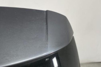 Malle/Hayon arriere BMW SERIE 1 F21
