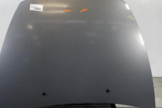 Capot VOLVO V 50 Photo n°1