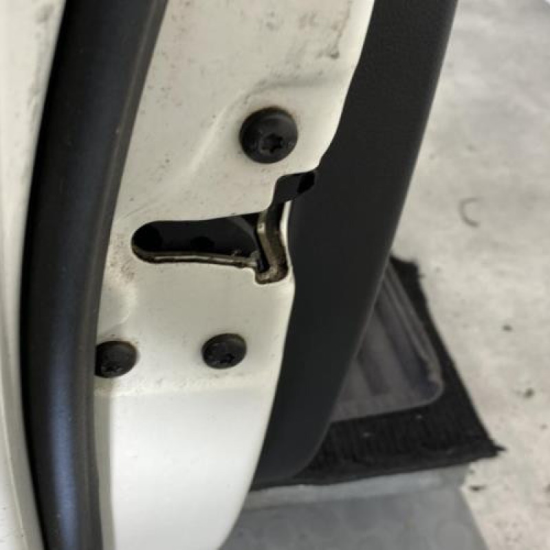 Porte avant gauche FORD FIESTA 5 Photo n°4