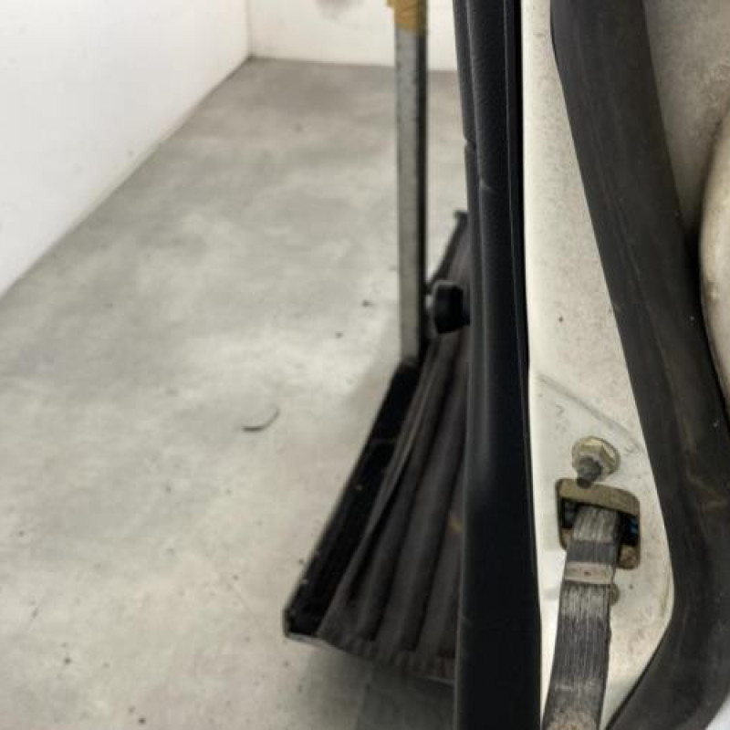 Porte avant gauche FORD FIESTA 5 Photo n°5